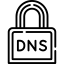 Domain Lock & Security