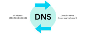 DNS Management