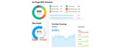 Business Analysis