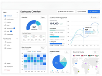 Audience Insights Analysis